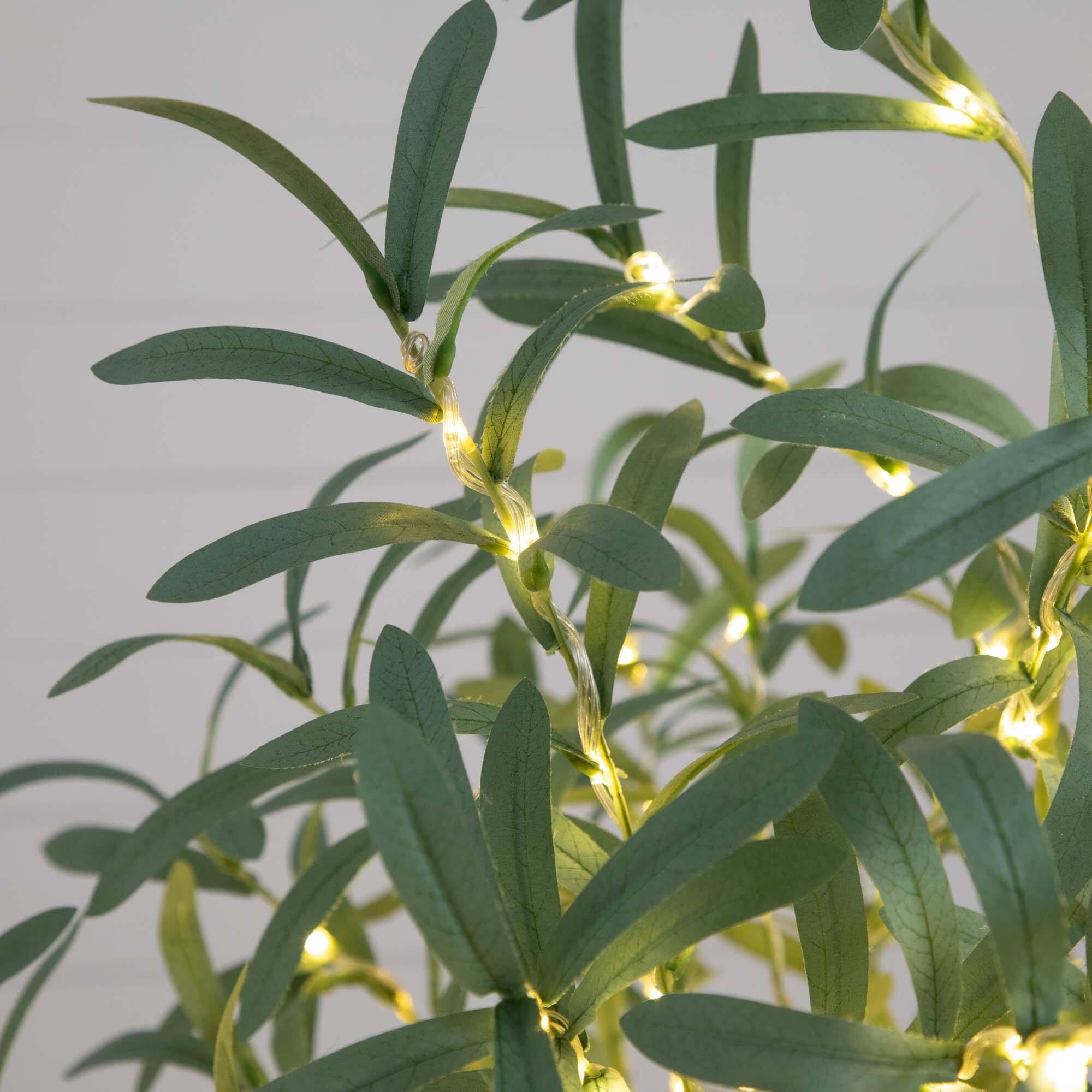 5ft. Pre-Lit Artificial Olive Tree with Warm White LED Lights
